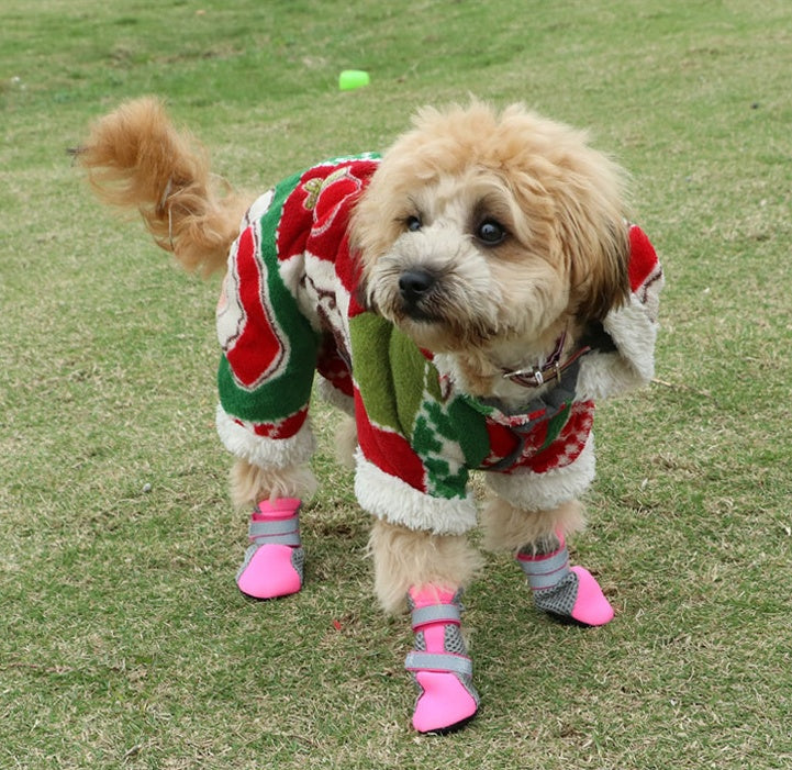 Dog Walking Shoes