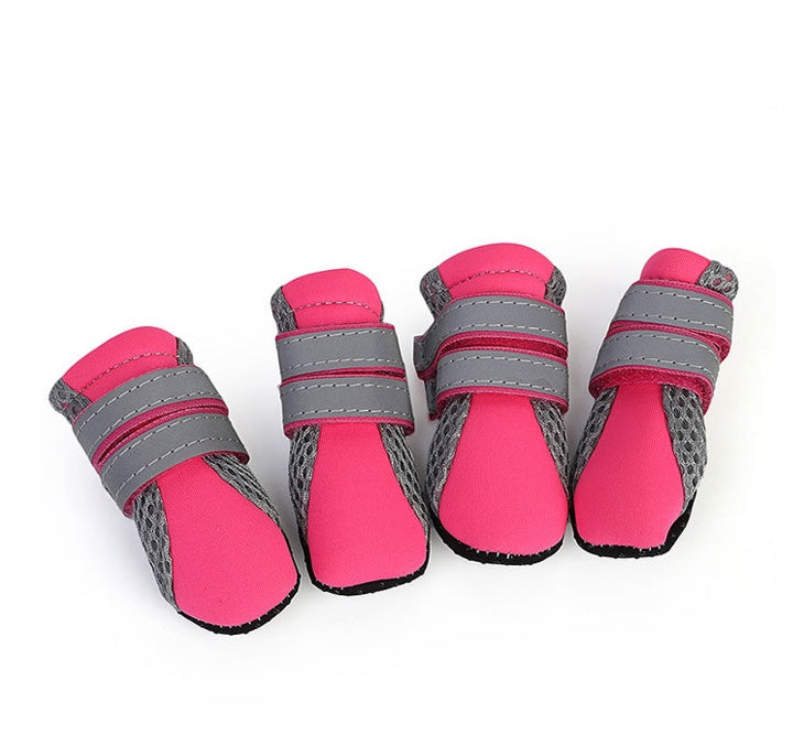 Dog Walking Shoes