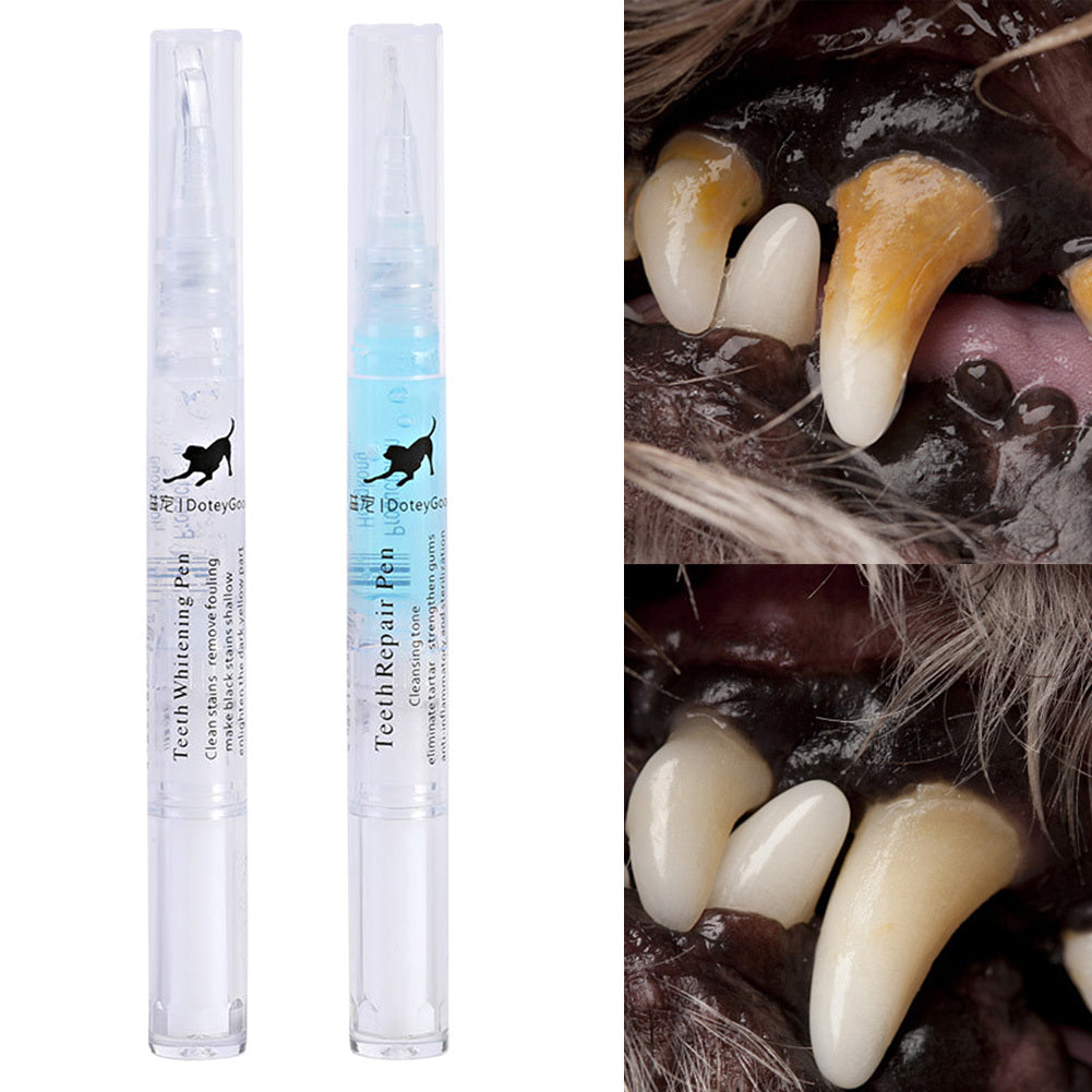 Repairing Kit For Teeth Cleaning