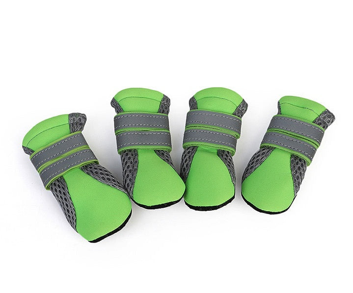 Dog Walking Shoes
