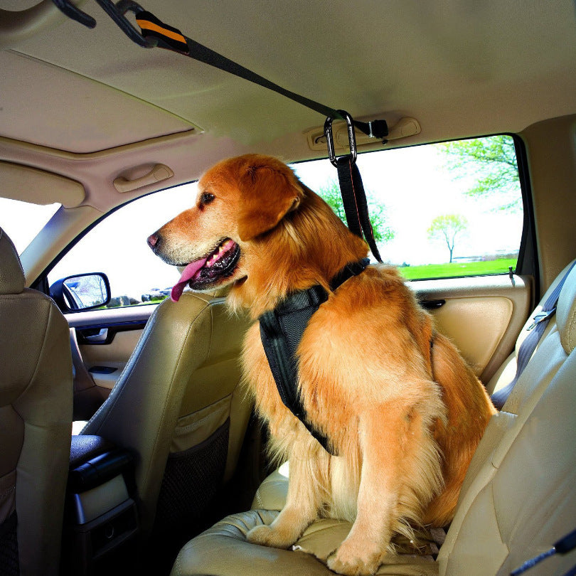 Pet Safety Belt Dual-Purpose