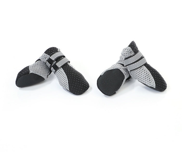 Dog Walking Shoes