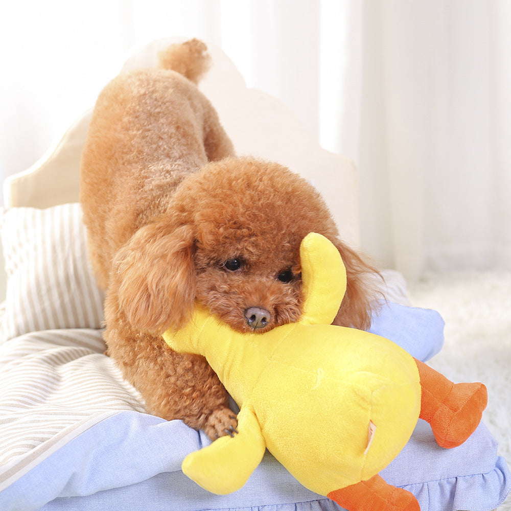Vocal Toy Huayuan Pet