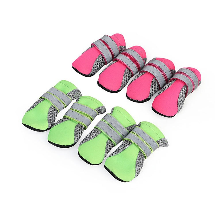 Dog Walking Shoes