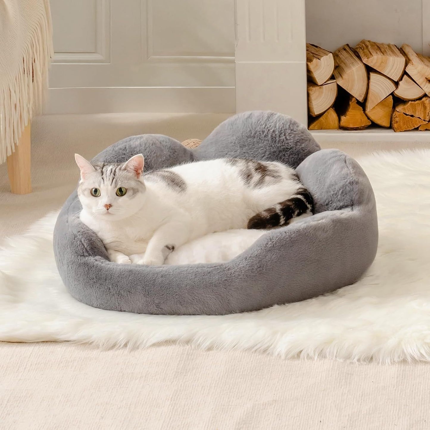 Fluffy Dog Bed Washable Cat Couch Bed