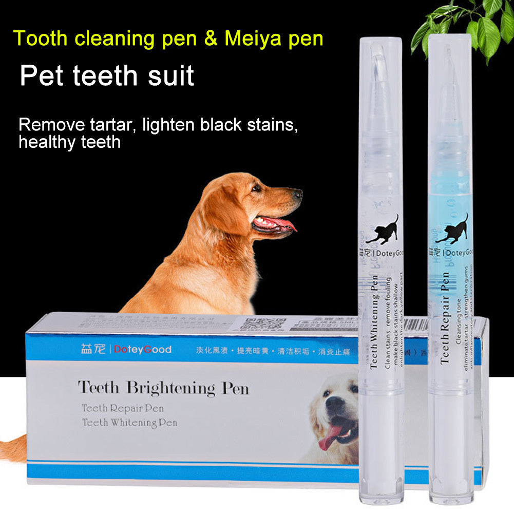 Repairing Kit For Teeth Cleaning