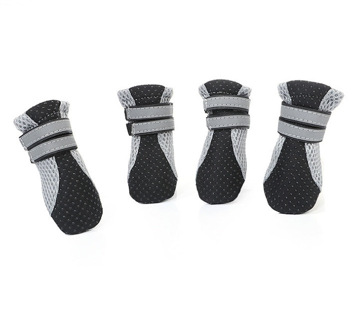 Dog Walking Shoes
