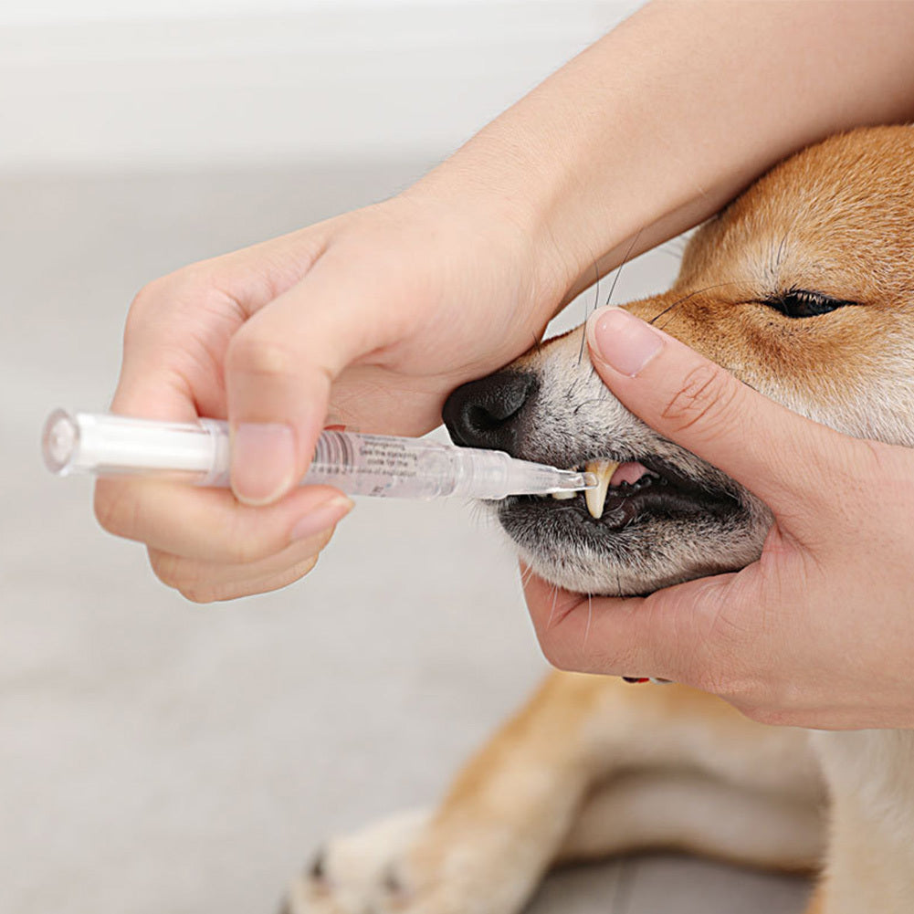 Repairing Kit For Teeth Cleaning