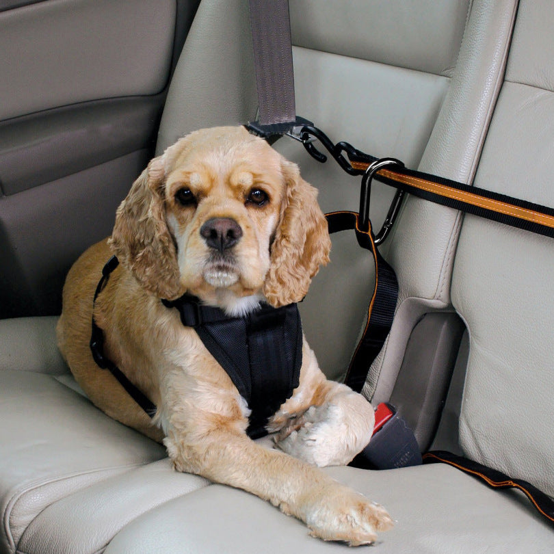 Pet Safety Belt Dual-Purpose