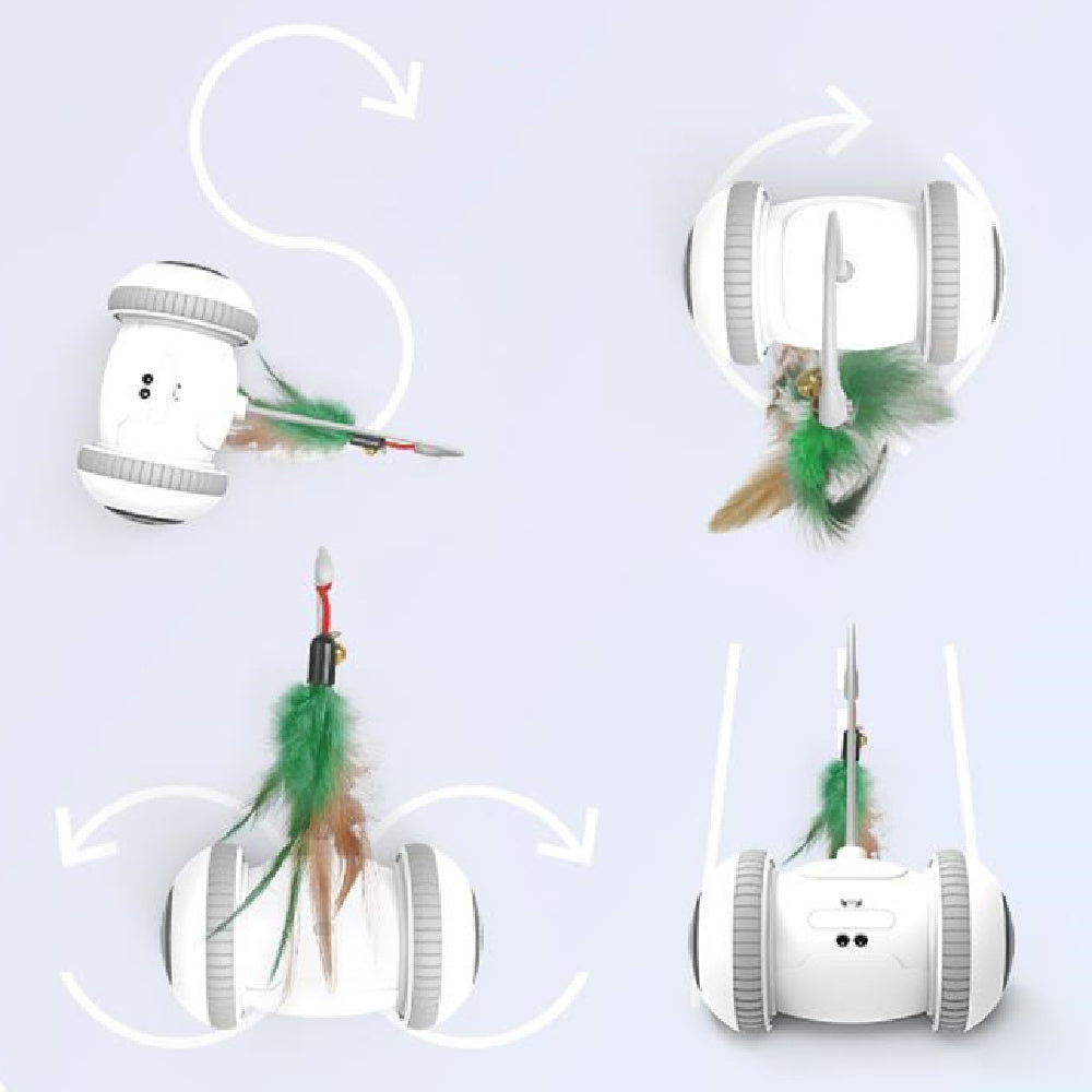 Interactive Cat Toy With Interchangeable Heads Toy