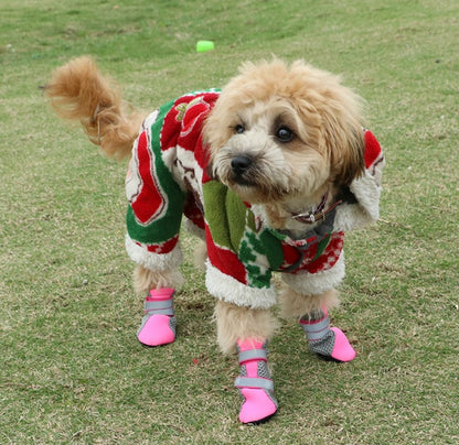 Dog Walking Shoes