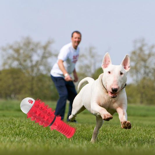 Interactive Toys Designed For Dogs