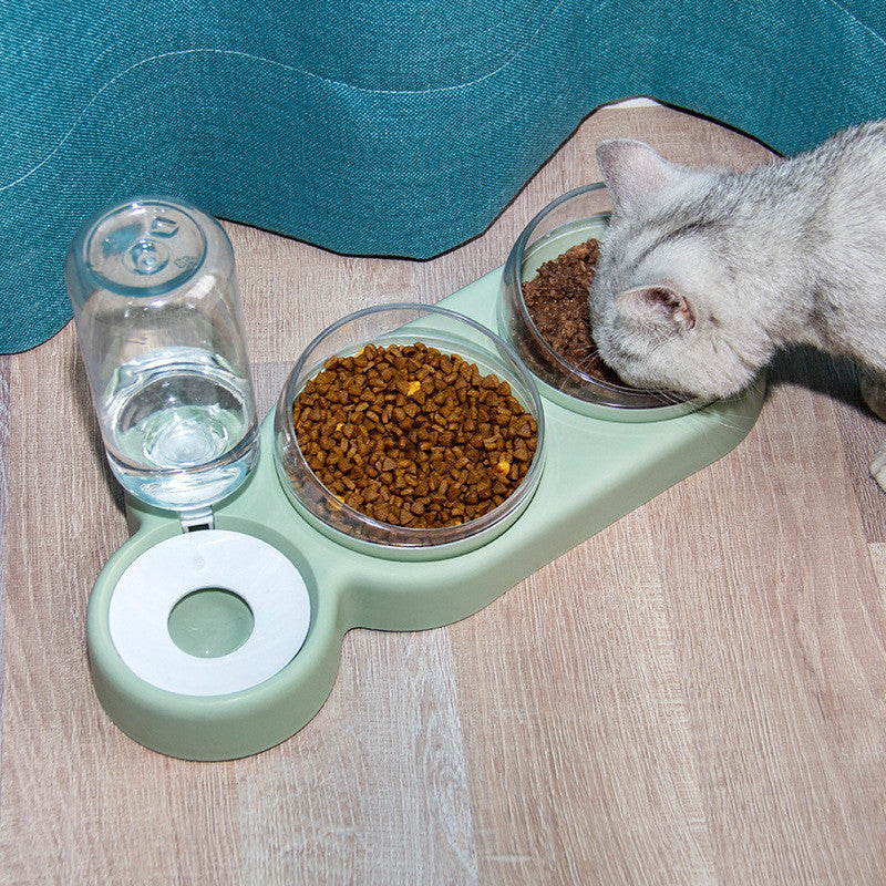 Cat Bowl Automatic Feeder
