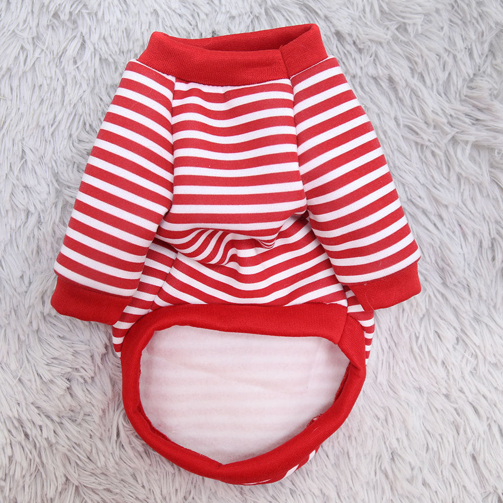Sweater Spring Cat Cute Teddy Bear