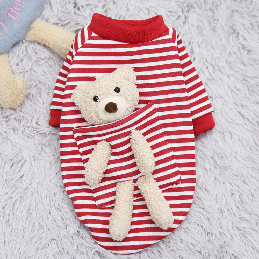 Sweater Spring Cat Cute Teddy Bear