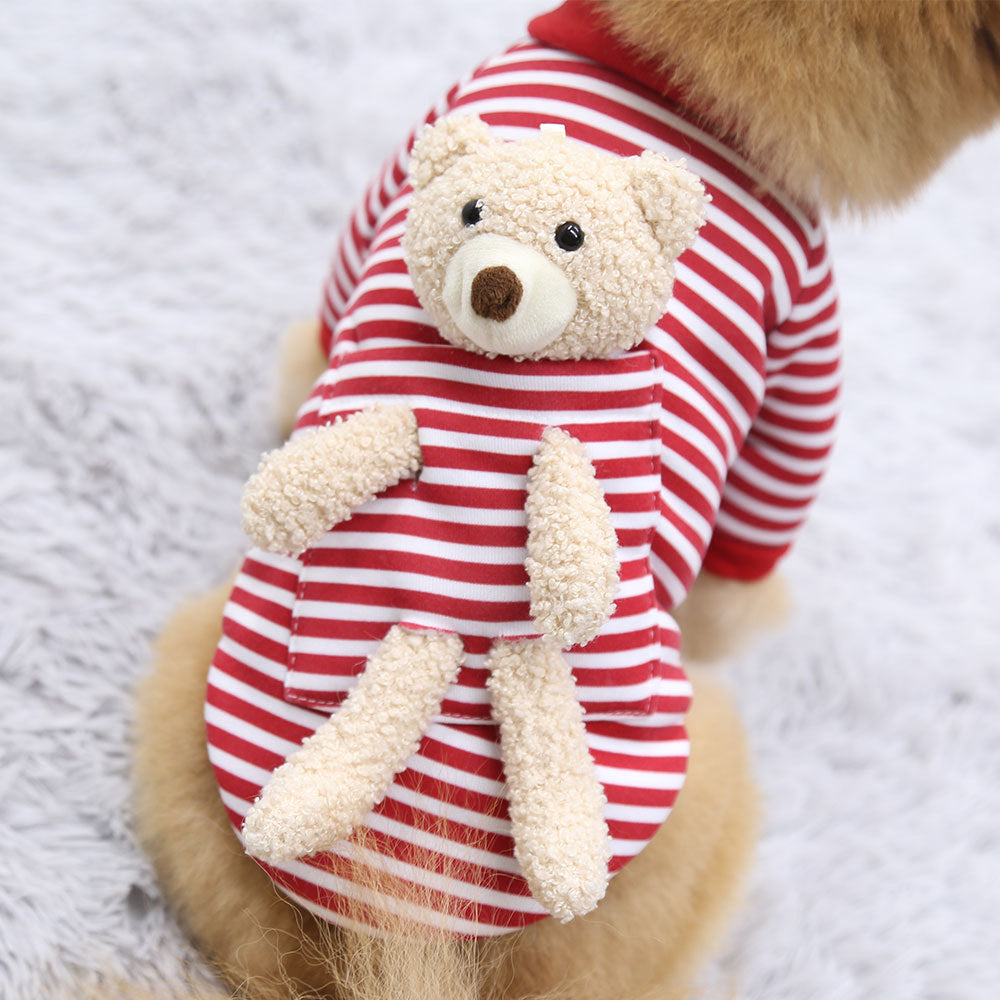 Sweater Spring Cat Cute Teddy Bear