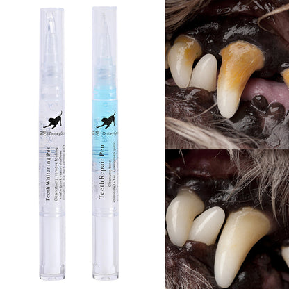 Repairing Kit For Teeth Cleaning