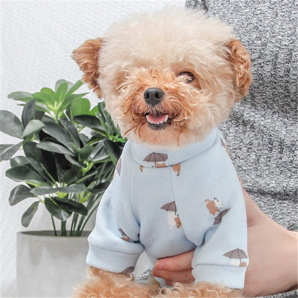 Dog Clothes