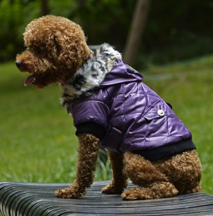 Cross-border Pet clothes