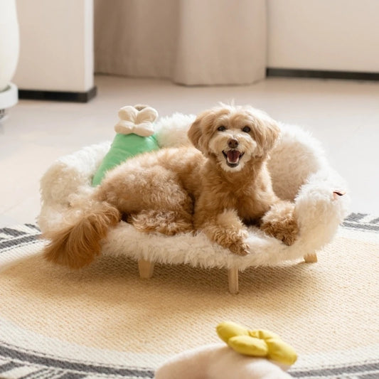 Wooden Pet Bed Kennel Dog