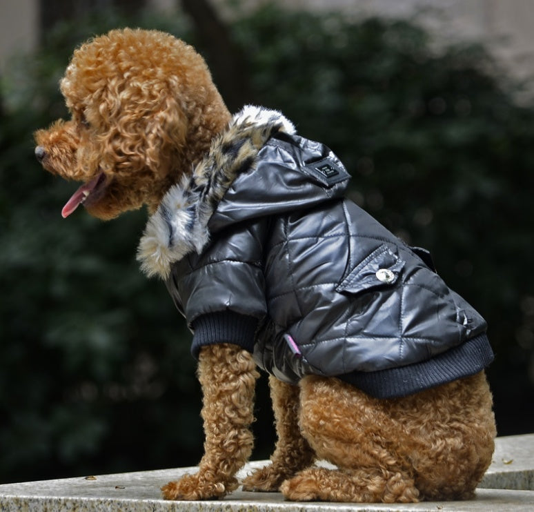Cross-border Pet clothes