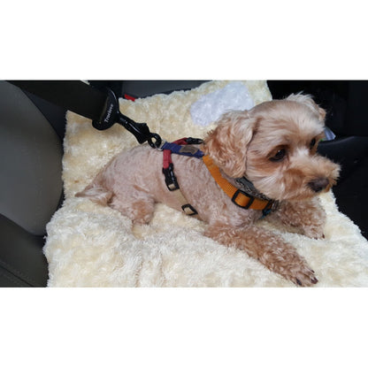 Pet Car Safety Buckle