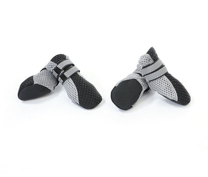 Dog Walking Shoes