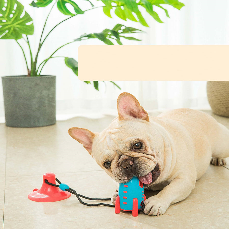 Rocket Bite-resistant Pet Toy