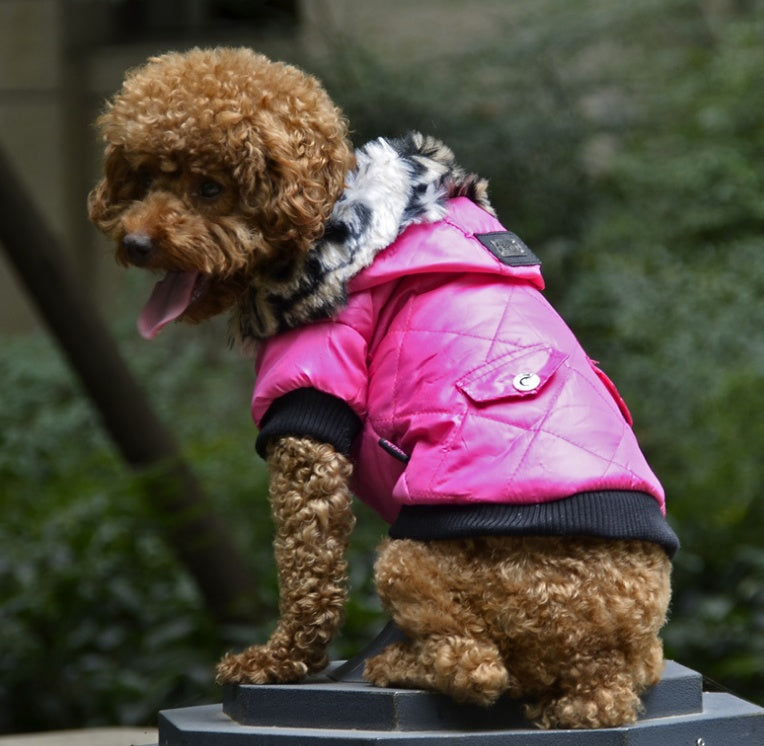 Cross-border Pet clothes