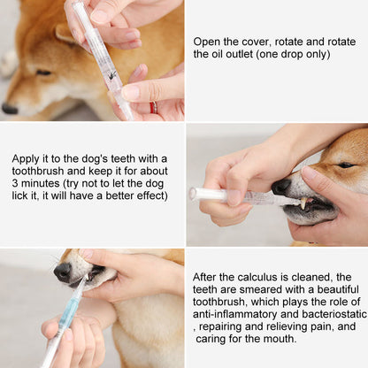 Repairing Kit For Teeth Cleaning