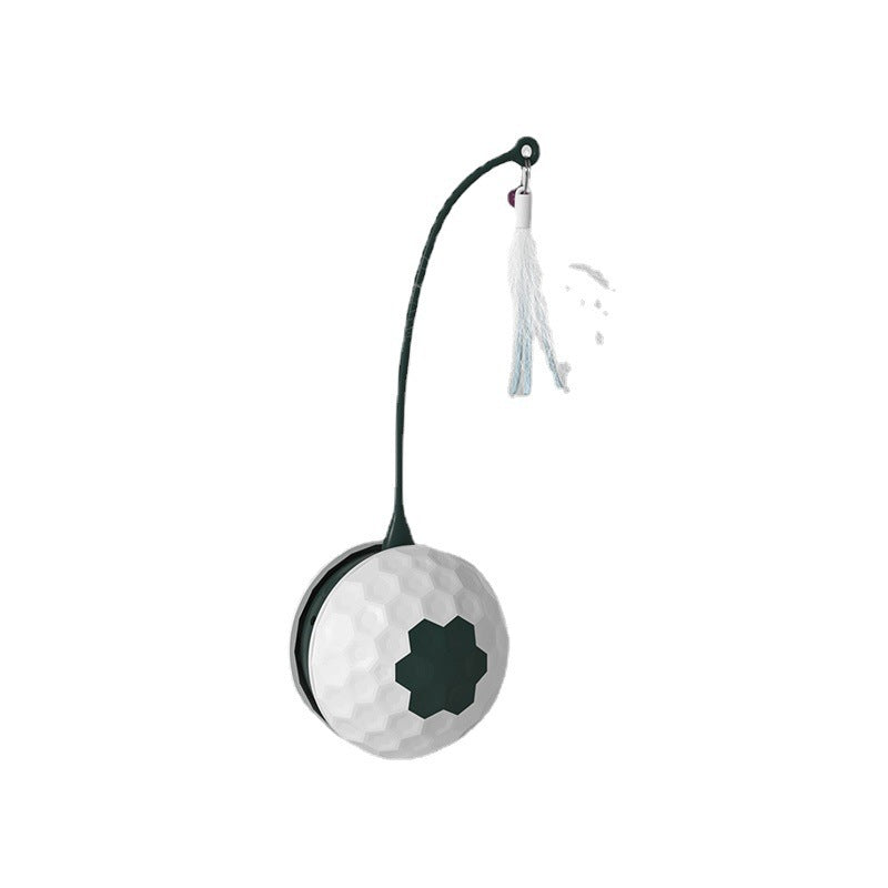 Enjoying Electric Intelligent Bite Resistant Cat Toy