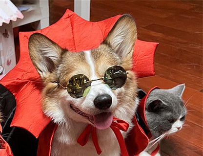 Halloween Pet Costume Halloween Cape