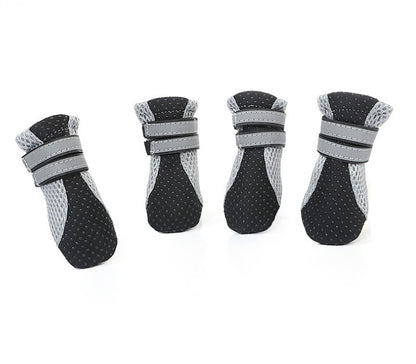 Dog Walking Shoes