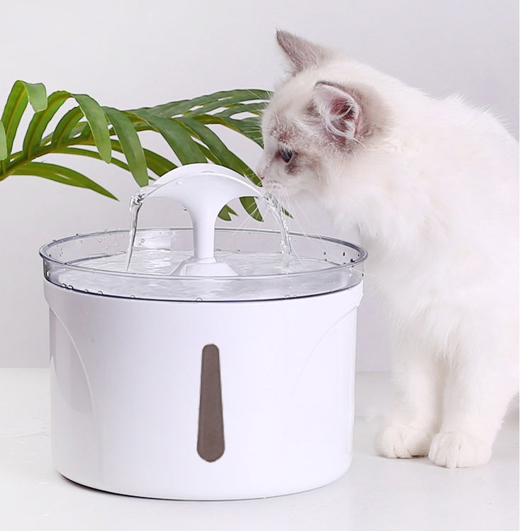 Water Dispenser Intelligent Automatic Circulating Filter
