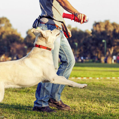 Interactive Toys Designed For Dogs