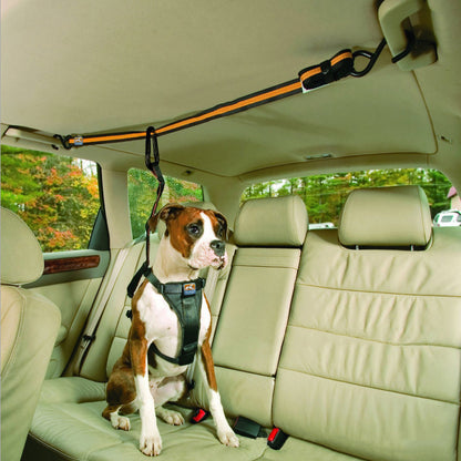 Pet Safety Belt Dual-Purpose