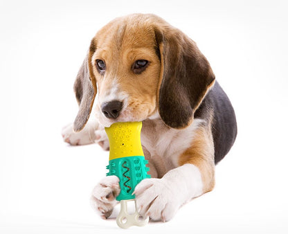 Cooling Cleaning Care Teeth Pet Chewing