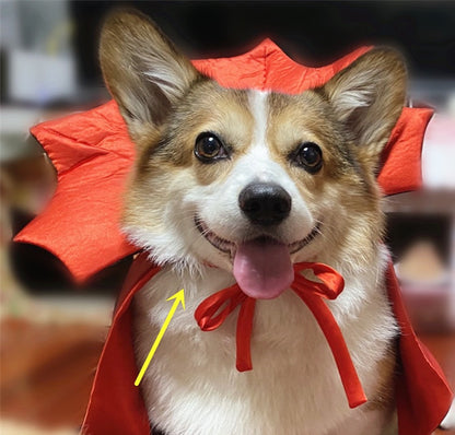 Halloween Pet Costume Halloween Cape