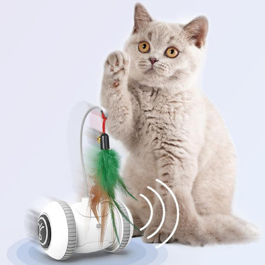 Interactive Cat Toy With Interchangeable Heads Toy